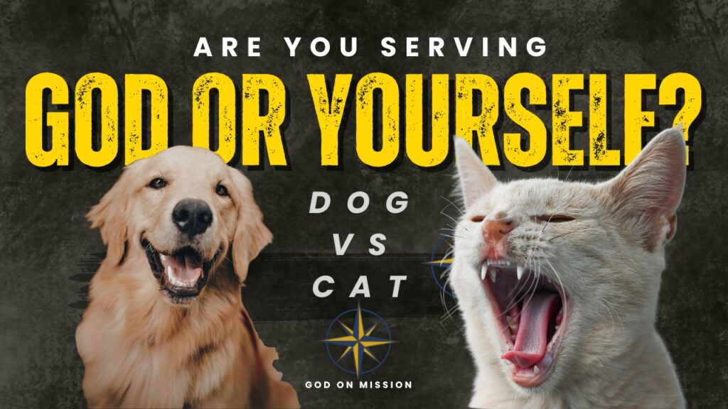 Current image: Are You Serving God or Yourself Dog vs Cat Illustration about God-centered faith