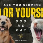 Are You Serving God or Yourself Dog vs Cat Illustration about God-centered faith