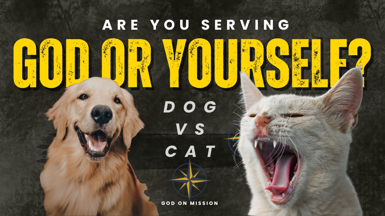 Are You Serving God or Yourself Dog vs Cat Illustration about God-centered faith